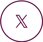x formerly twitter logo